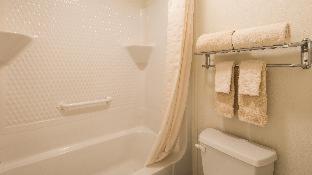 Hotel Surestay By Western 3*